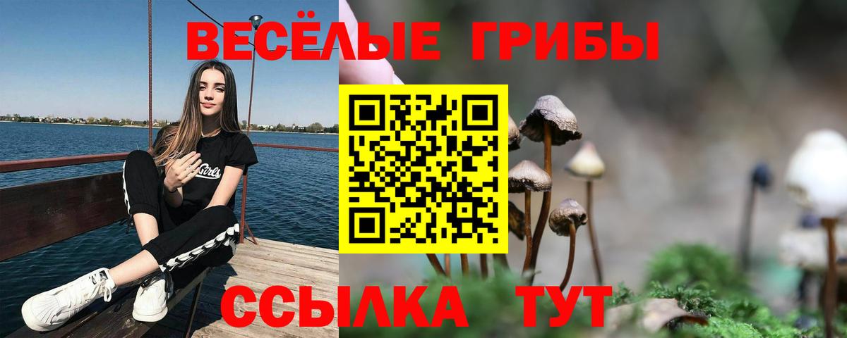 Галлюциногенные грибы прущие грибы  Галлюциногенные грибы MAGIC MUSHROOMS  дарнет шоп  Вход с VPN  Орехово-Зуево 